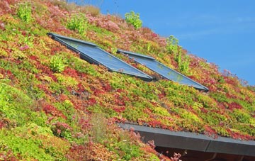 Whelpley Hill living roof systems
